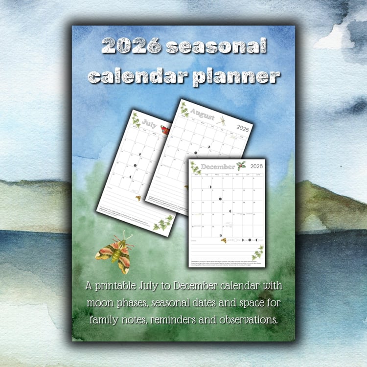 2026 seasonal calendar planner | July to December printable