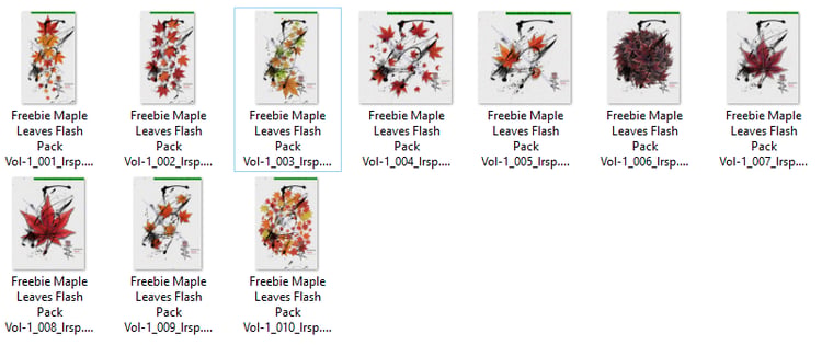 Japanese Momiji Maple Leaf Tattoo Flash Pack