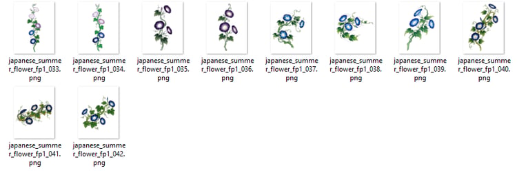 Japanese Asagao Morning Glory Tattoo Flash