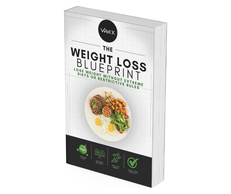 The Weight Loss Blueprint ebook 3D book mockup by Well X