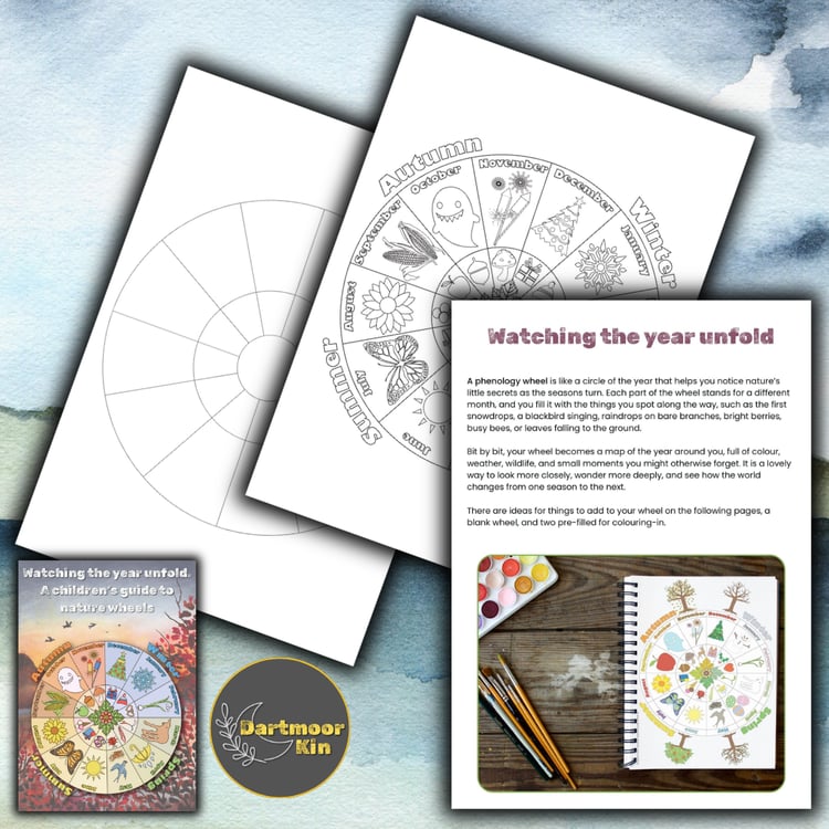 A children’s phenology and nature wheels printable with seasonal spotting guides, observation pages, a blank wheel, and colouring pages for year-round nature study.