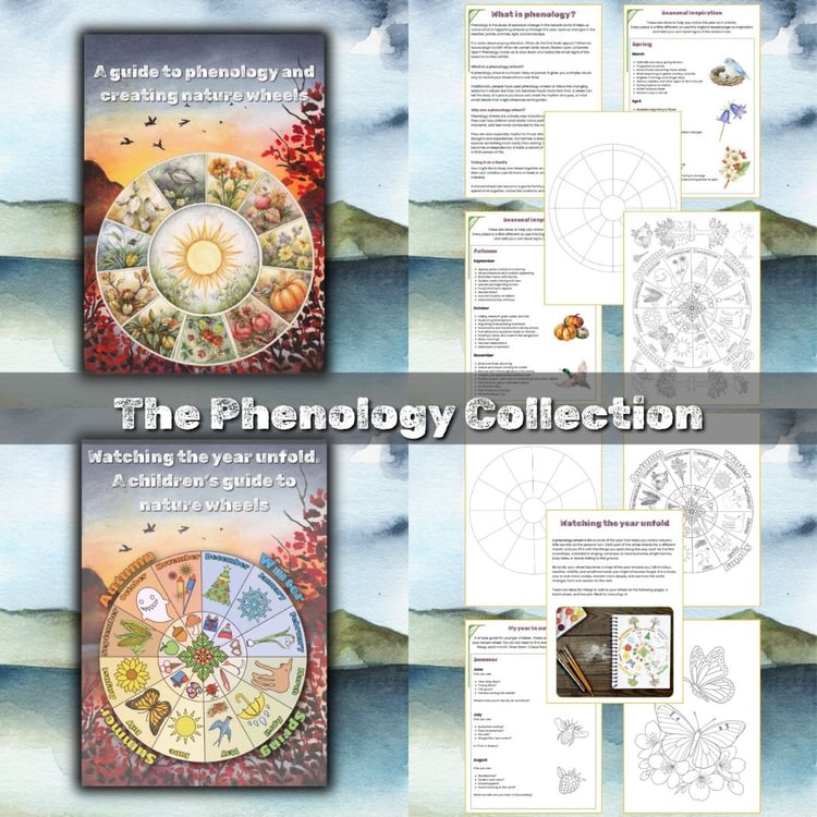 printable resources exploring phenology wheels and nature study