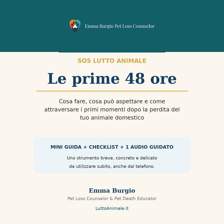 Guida, checklist e audio guidato per affrontare con orientamento e delicatezza le prime 48 ore dopo la perdita del proprio animale.