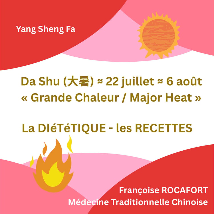 Da Shu : La Diététique selon la MTC