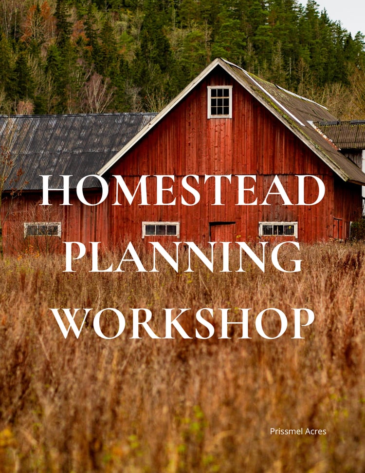 Printable Homestead Planning Workshop workbook by Prissmel Acres designed to help beginners create seasonal plans, organize homestead goals, and build self-sufficient household systems.