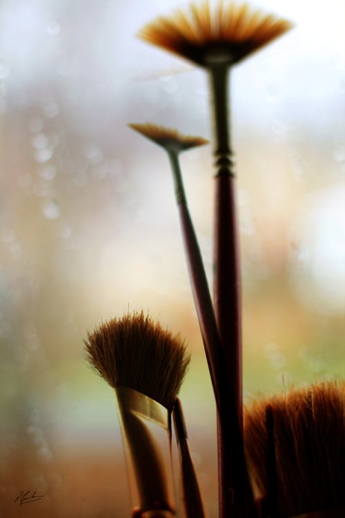Water colour brushes