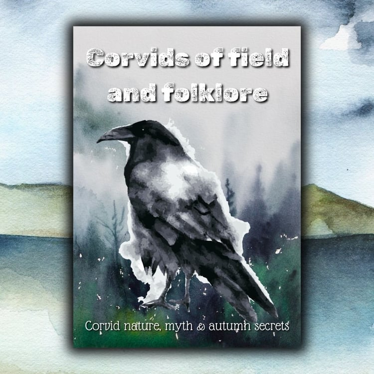 Corvids nature study pack for mixed ages, with British bird identification, intelligence, folklore, poetry, art, observation and printable activities.