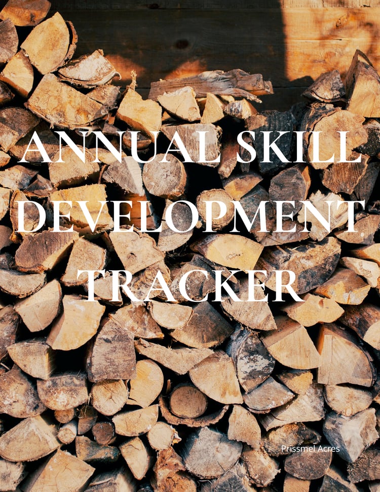 Annual Skill Development Tracker printable PDF designed for organizing traditional skills, homesteading goals, self-sufficiency learning, and yearly skill development progress.