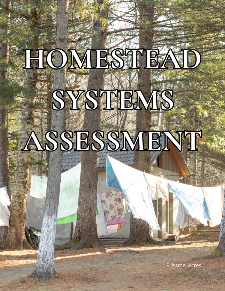 Homestead Systems Assessment printable PDF showing a planning tool for evaluating homestead organization, household systems, food production, seasonal routines, and self-sufficient living goals.