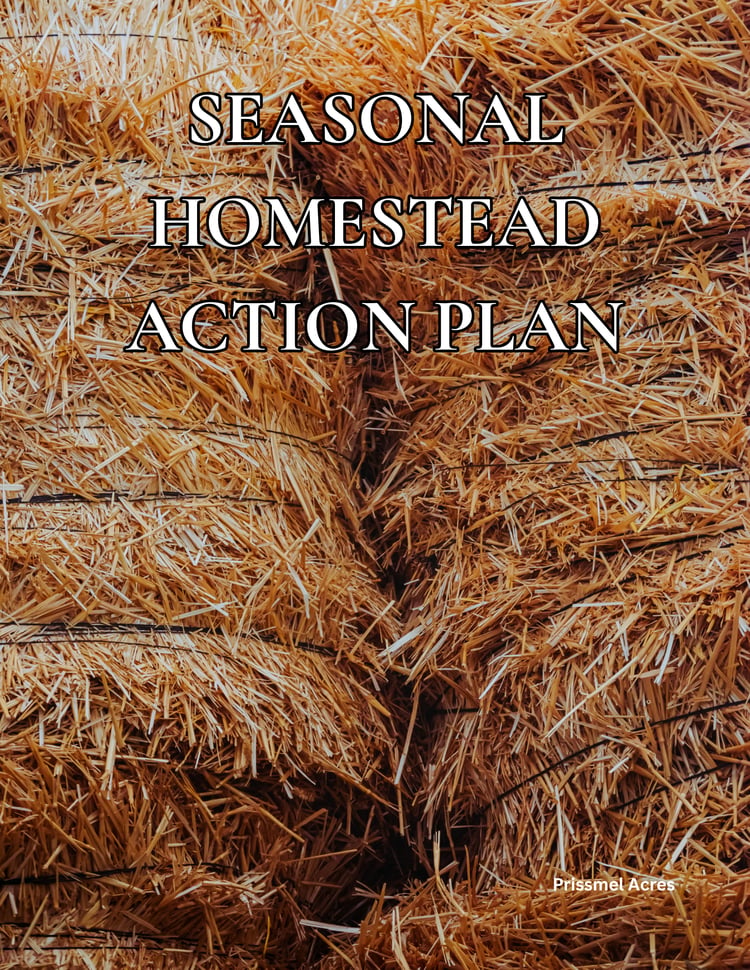 Seasonal Homestead Action Plan printable PDF featuring a homestead planning tool designed to organize year-round seasonal tasks, garden work, property maintenance, and self-sufficient living routines.