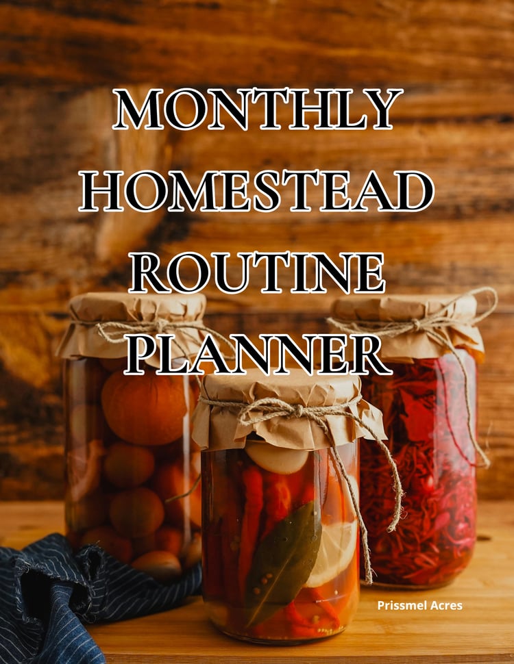 Monthly Homestead Routine Planner printable PDF designed to organize household routines, homestead responsibilities, seasonal tasks, and simple self-sufficient living systems.