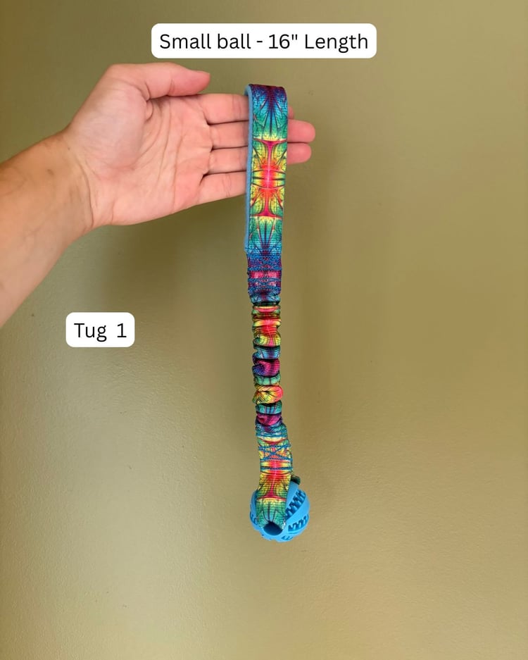 small blue ball with tie-dye bungee handle