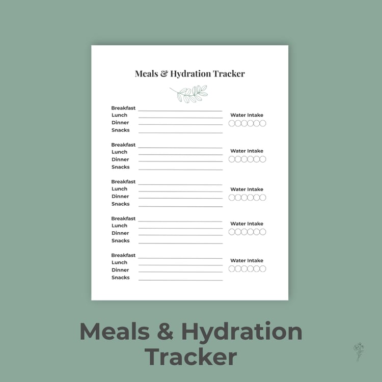 A printable Hydration & Meals Tracker featuring five daily sections with lines for breakfast, lunch, dinner, and snacks, plus six water‑intake circles for each day. Minimal sage accents and a small leaf illustration beneath the title create a calm, organi