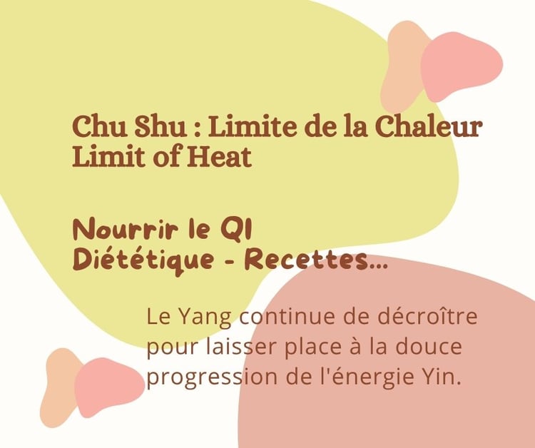 Chu Shu : La Diététique selon la MTC