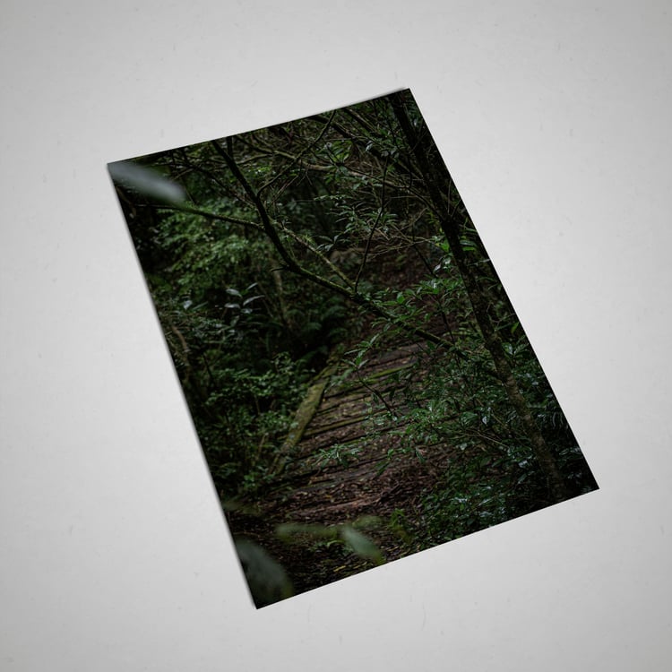 A fine art photograph of a hidden path surrounded by lush forest. A high-resolution digital download and printable wall art inspired by nature, stillness, and quiet exploration.