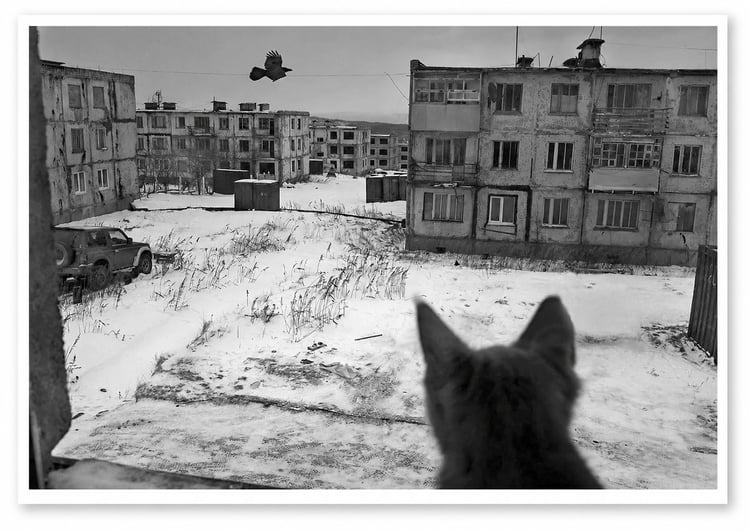 The view from an apartment inhabited by a retired soldier, his wife and two children, and their kitten. Photo: Oleg Klimov/Calamity Islands