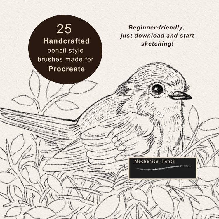 25 handmade Procreate pencil brushes including soft sketching, graphite, shading and detailed pencil brushes