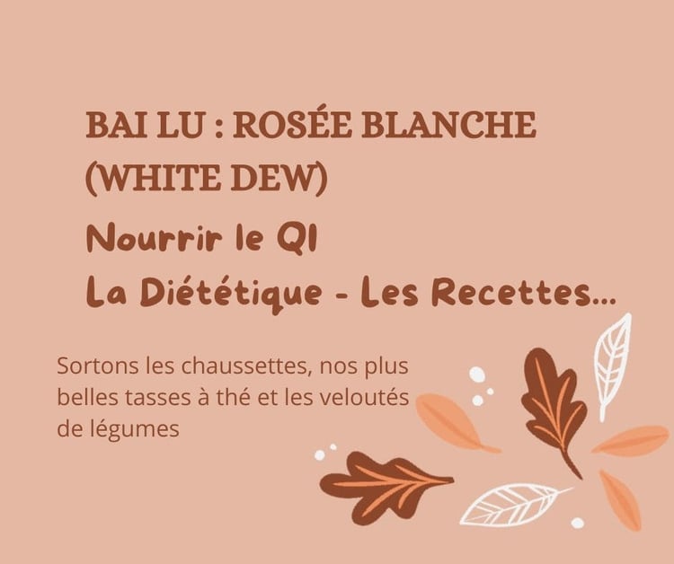 Bai Lu : La Diététique selon la MTC
