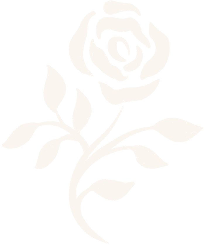 Small hand drawn cream colored rose