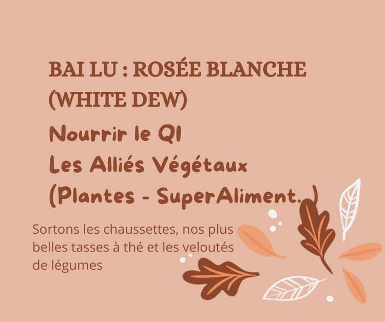 Bai Lu - Les Alliés Végétaux