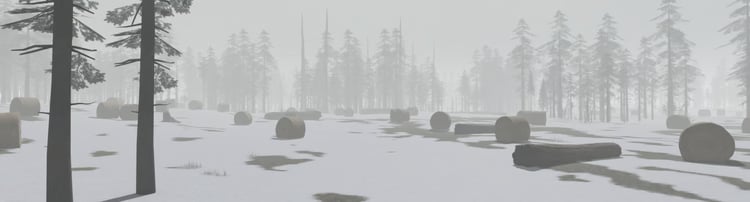 Winter forest military encampment