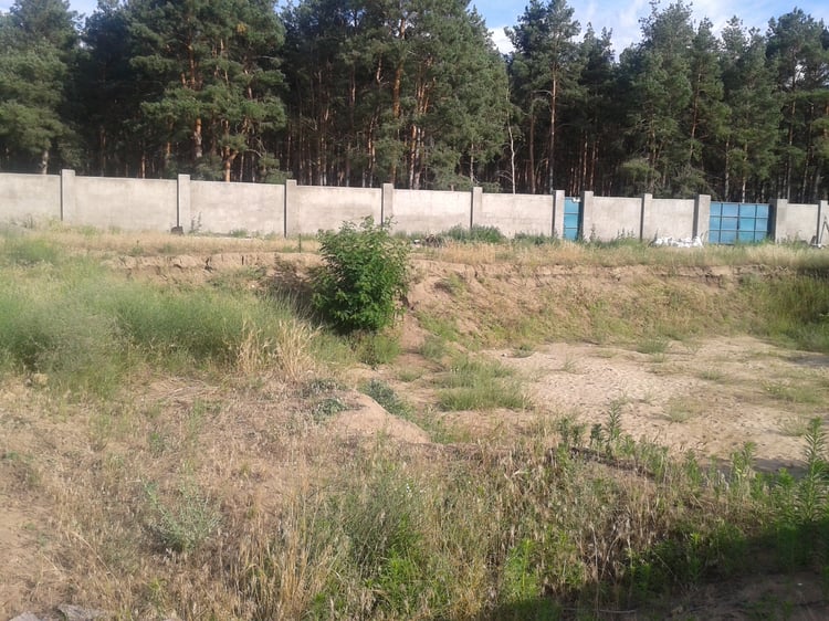 Undeveloped private garden site before landscaping, with sandy ground, existing young vegetation and forest along the property boundary.