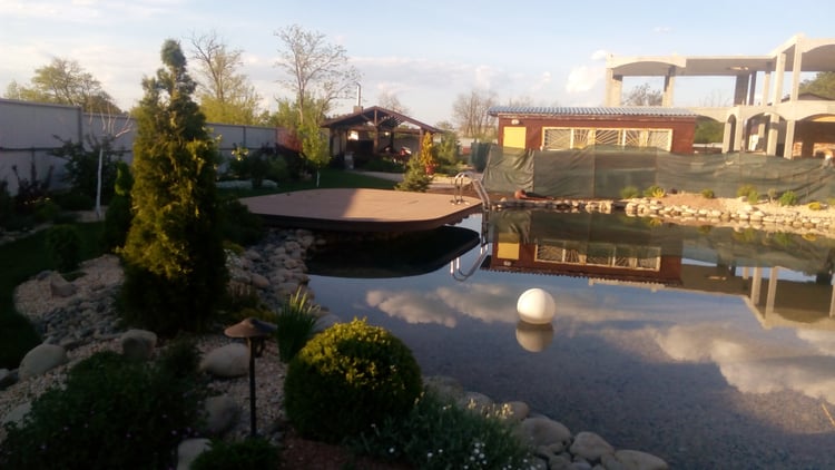 Natural swimming pond construction stages showing the deck framework, shallow regeneration zone, filled pond and completed landscaped water feature in a private garden.