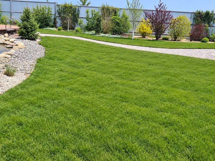 Established green lawn in a large family garden, designed as an open space for children’s active play and recreation.