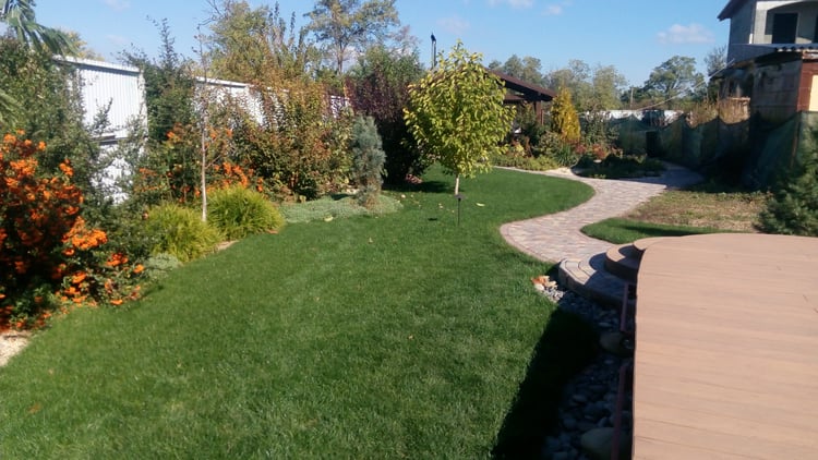 Autumn view of a mature family garden with green lawn, curved path, orange pyracantha berries and layered ornamental planting near the pond deck.