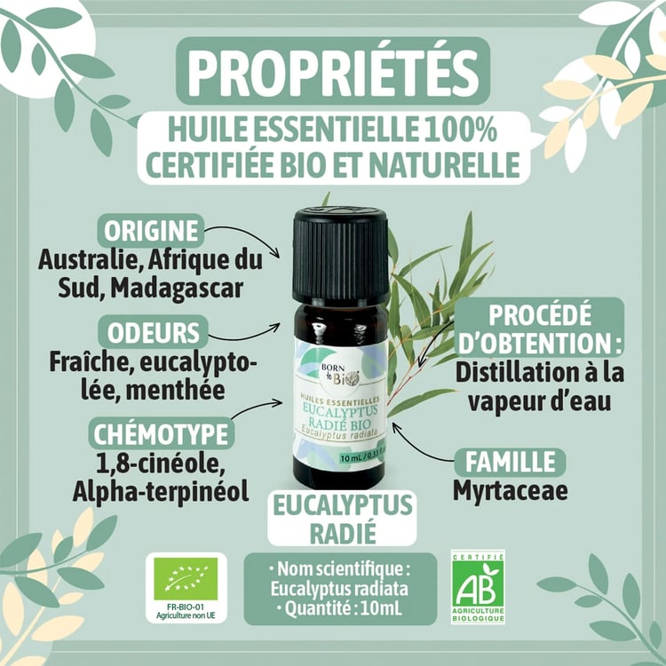 Huile Essentielle Eucalyptus Radié