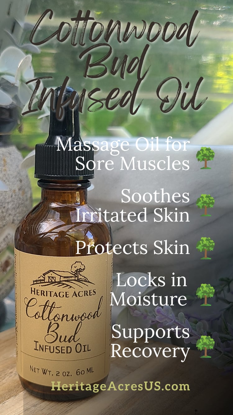 Cottonwood Bud Infused Oil Benefits Pin for Pinterest
