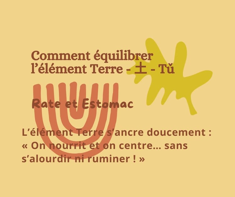 Equilibrez votre ENERGIE TERRE (Rate-Estomac)