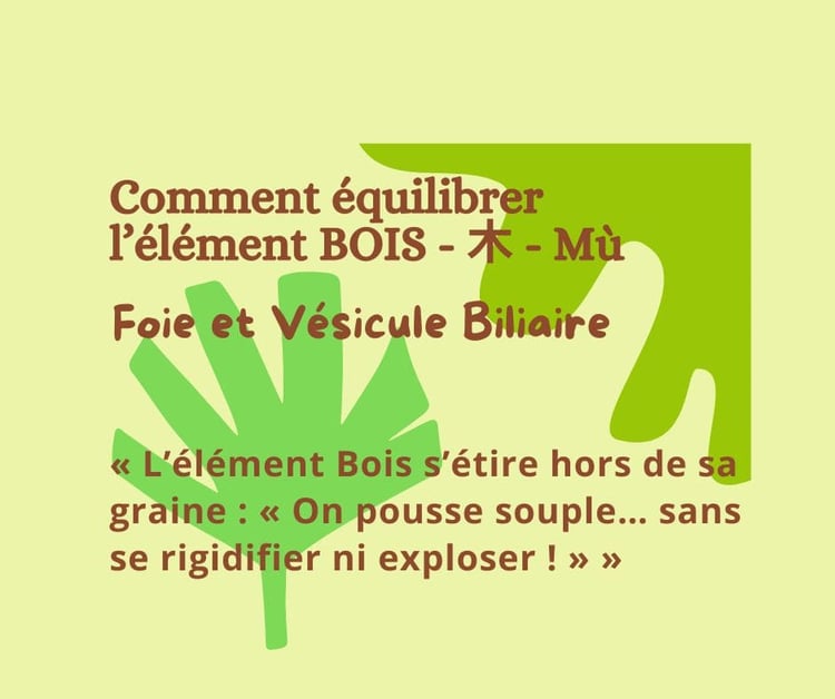 Equilibrez votre ENERGIE BOIS (Foie-Vésicule Biliaire)