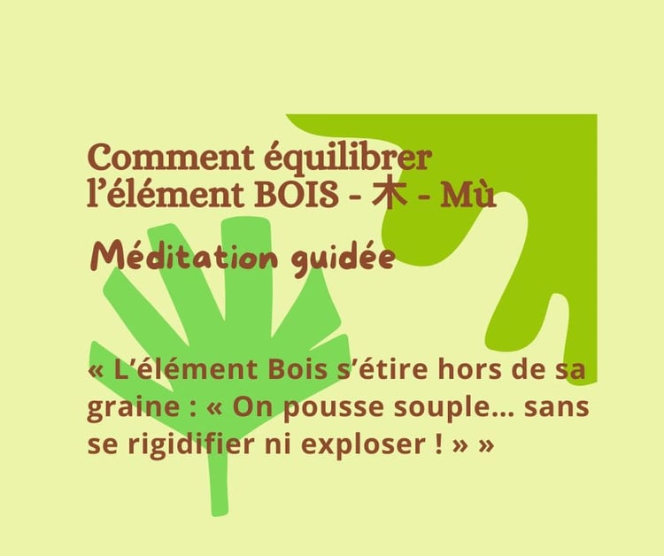 Méditation Guidée Gratuite « Énergie Bois » – 2 Minutes pour Fluidifier Votre Qi du Foie et Accueillir le Printemps