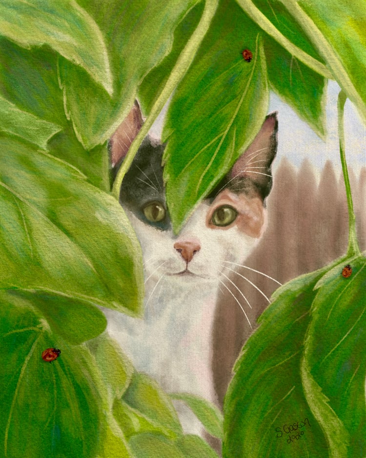 Calico cat in garden with ladybugs