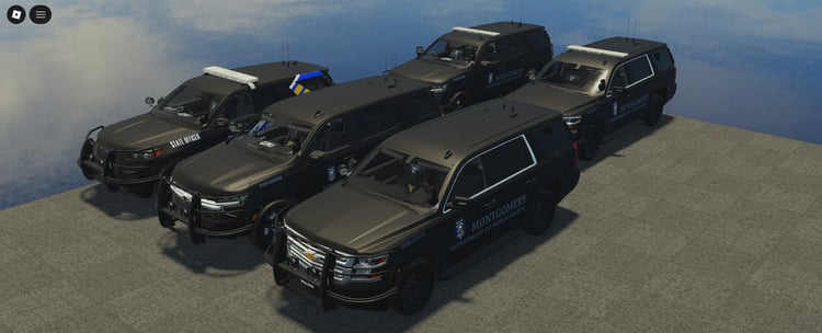 State police SUVs with lightbars
