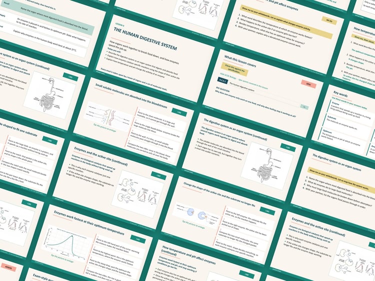 AQA GCSE Biology 8461 Complete Course | 86 Ready to Teach Lessons with Topic Tests: preview page 2 of 9