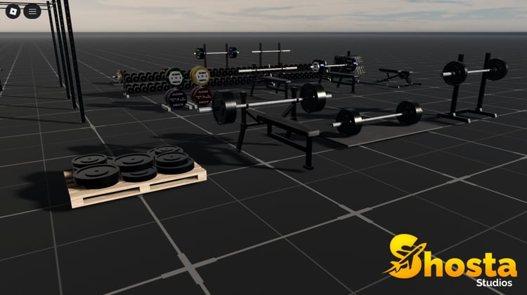 Barbells and dumbbells gym equipment
