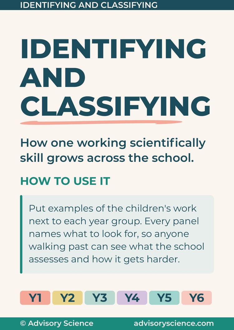 Working scientifically progression display header panel: identifying and classifying from Year 1 to Year 6