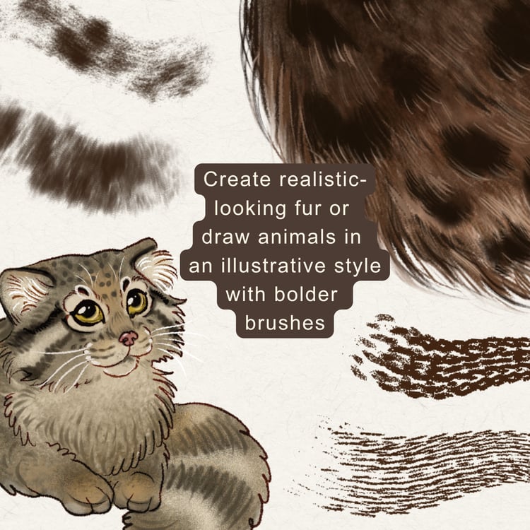 Pallas cat illustrative style and realistic fur with Procreate brushes