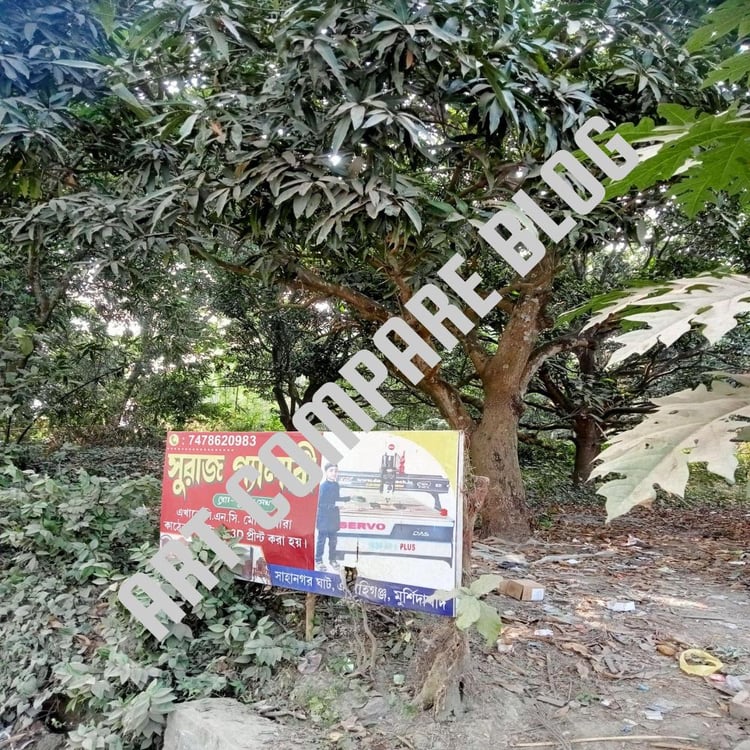 A Colorful Bengali Advertisement Billboard for 'Suraj Gallery' CNC Machine Services Standing Half-Hidden Among Dense Mango Trees and Overgrown Vegetation on a Littered Forest Floor