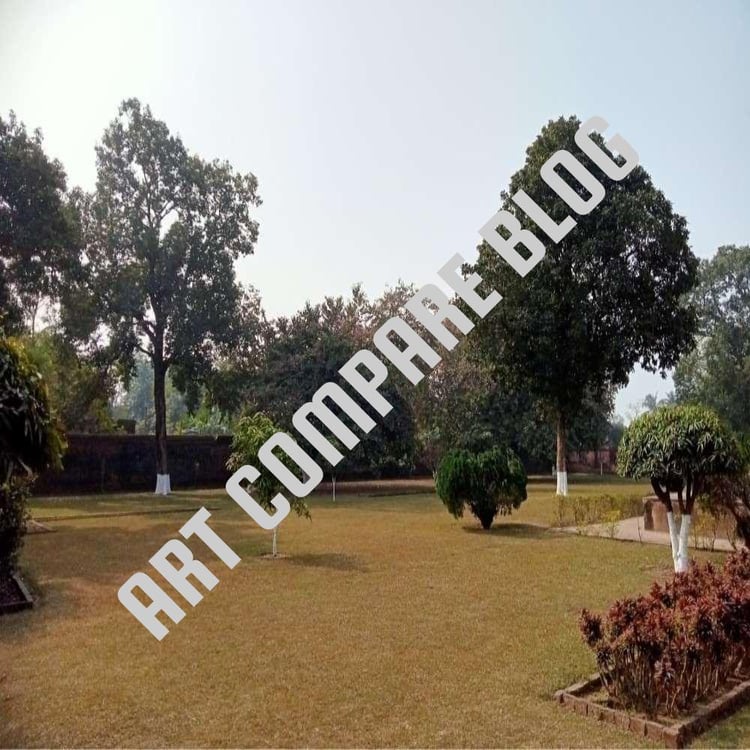 Wide View of Khushbagh Garden Cemetery Lawn with Scattered Old Trees and Ornamental Plants - Murshidabad Heritage Site