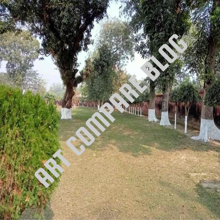 Shady Green Lawn with White-Painted Mango Trees and Trimmed Bushes - Peaceful Garden Inside Khushbagh Cemetery, Murshidabad