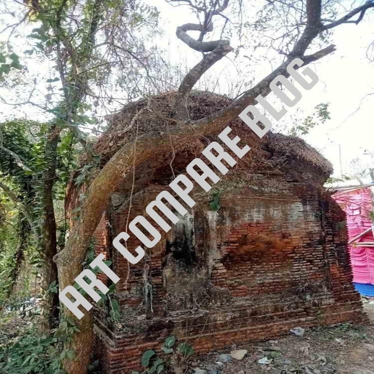 Old Ruined Brick Temple Covered with Tree Roots and Vines in Forest Area - Murshidabad Ancient Heritage Structure