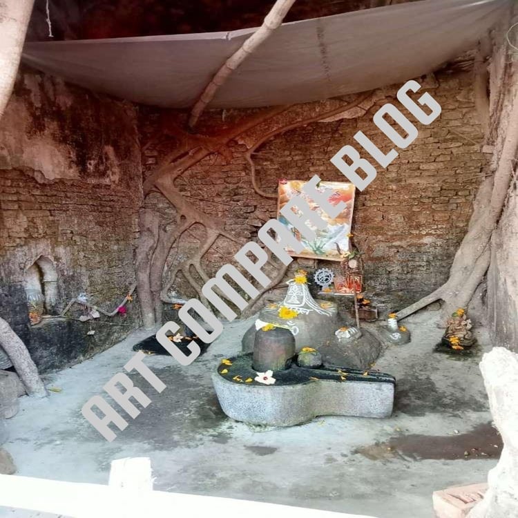 Shiva Lingam Shrines with Marigold Flowers Inside Ancient Tree Root Covered Brick Temple Interior - Murshidabad Sacred Ruins