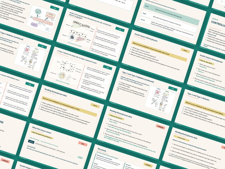 Homeostasis and Response Lessons PowerPoint | AQA GCSE Biology B5 8461, 14 Lessons: preview page 2 of 3