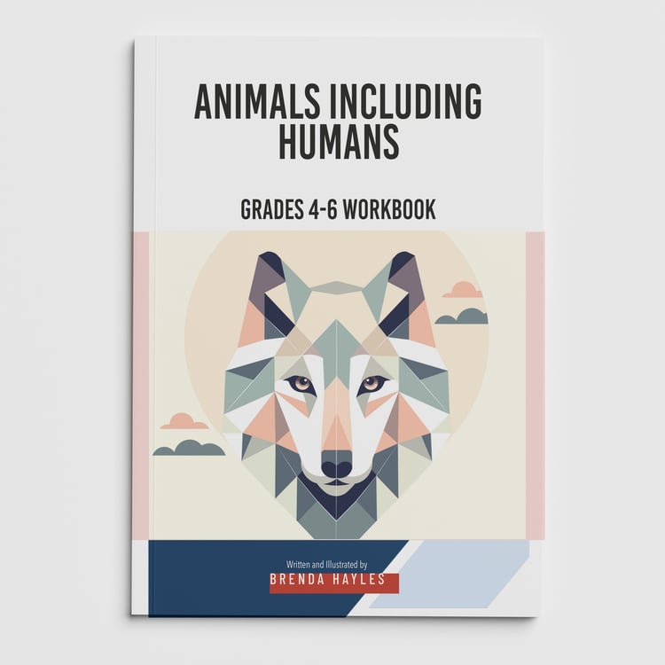 Animals Including Humans Science Worksheets and Workbook | Grades 4-6 | NGSS Aligned | Digestion Practice: cover