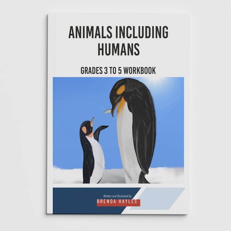 Animals Including Humans Science Worksheets and Workbook | Grades 3-5 | NGSS Aligned | Feeding Groups: cover