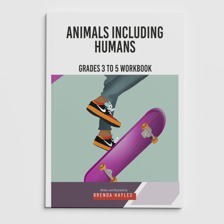 Animals Including Humans Worksheets and Workbook | Grades 3-5 | NGSS Aligned | Gestation and Growth: cover