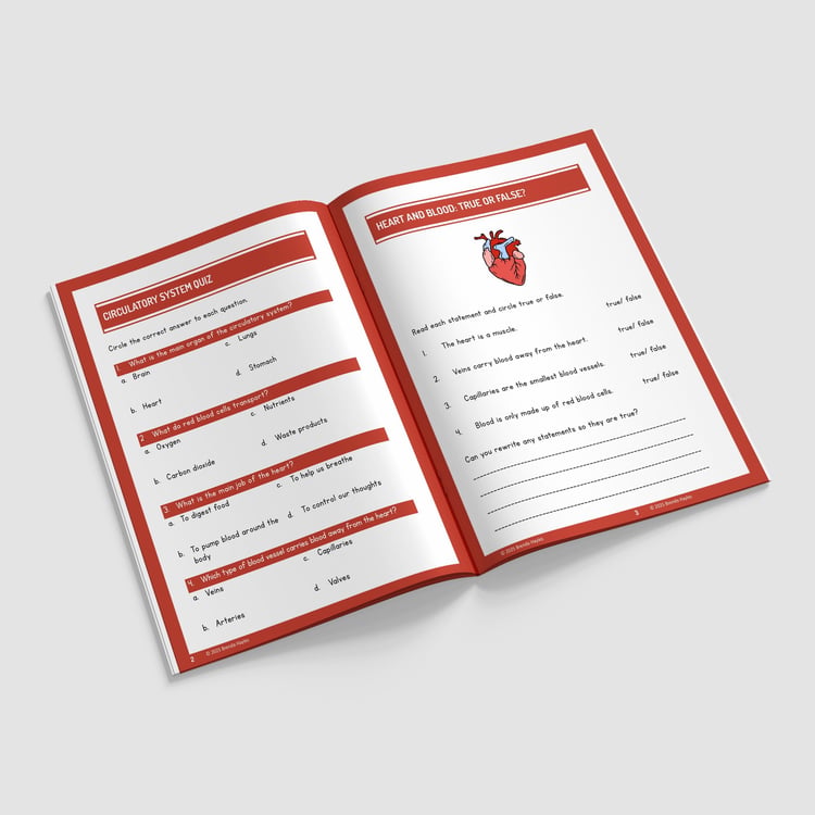 Animals Including Humans Science Worksheets and Workbook | Grades 5-7 | Heart Rate and Pulse Testing: preview page 2 of 4